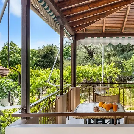 Nikoleta 2 * نِكيانا