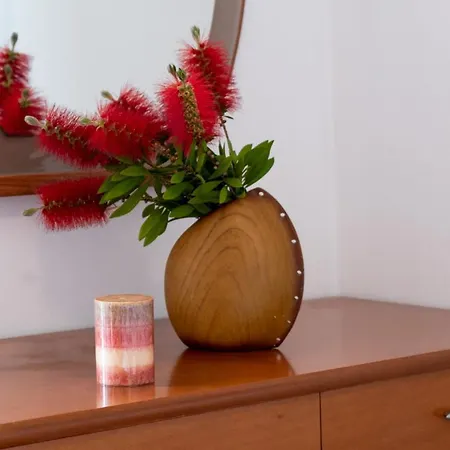 Nikoleta 2 아파트